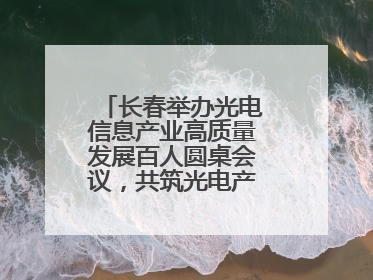 长春举办光电信息产业高质量发展百人圆桌会议，共筑光电产业创新生态