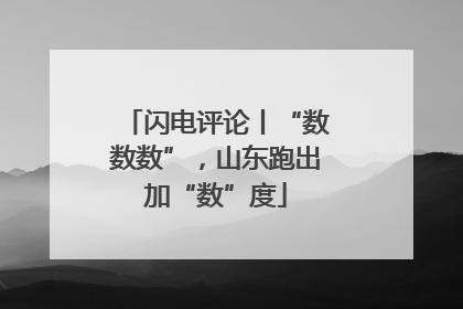 闪电评论丨“数数数”，山东跑出加“数”度