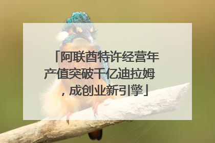 阿联酋特许经营年产值突破千亿迪拉姆，成创业新引擎