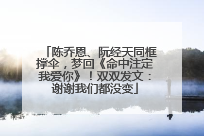 陈乔恩、阮经天同框撑伞，梦回《命中注定我爱你》！双双发文：谢谢我们都没变