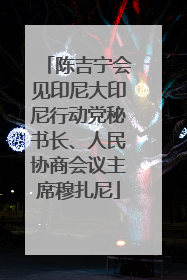 陈吉宁会见印尼大印尼行动党秘书长、人民协商会议主席穆扎尼