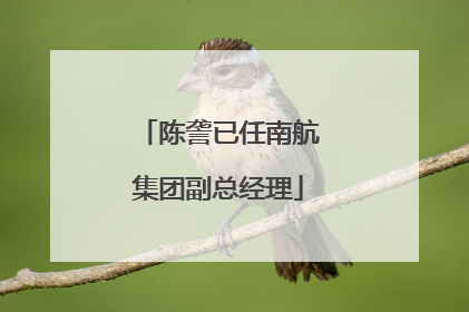 陈詟已任南航集团副总经理