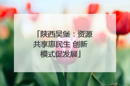 陕西吴堡：资源共享惠民生 创新模式促发展