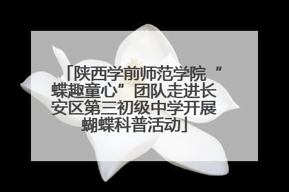 陕西学前师范学院“蝶趣童心”团队走进长安区第三初级中学开展蝴蝶科普活动