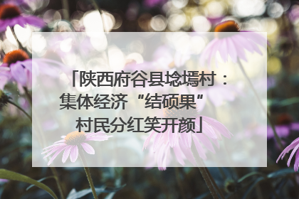 陕西府谷县埝墕村：集体经济“结硕果” 村民分红笑开颜