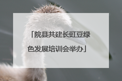 院县共建长豇豆绿色发展培训会举办