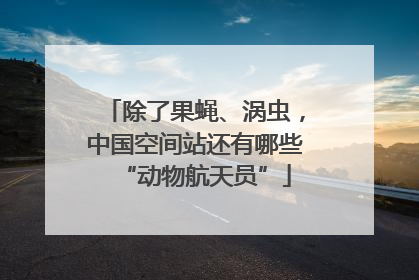 除了果蝇、涡虫，中国空间站还有哪些“动物航天员”