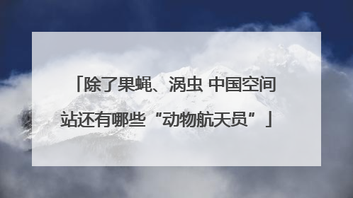 除了果蝇、涡虫 中国空间站还有哪些“动物航天员”