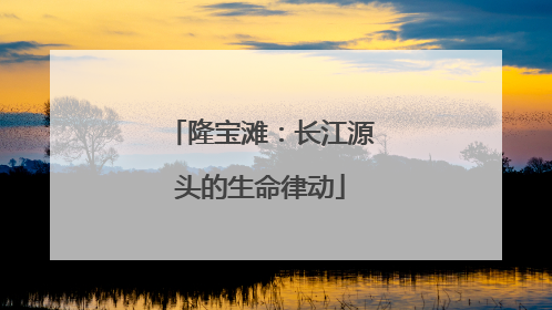 隆宝滩：长江源头的生命律动