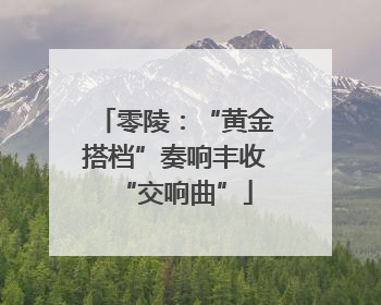 零陵：“黄金搭档”奏响丰收“交响曲”