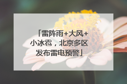 雷阵雨+大风+小冰雹，北京多区发布雷电预警