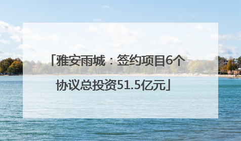 雅安雨城：签约项目6个 协议总投资51.5亿元