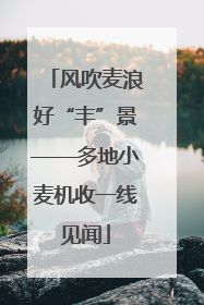 风吹麦浪好“丰”景——多地小麦机收一线见闻