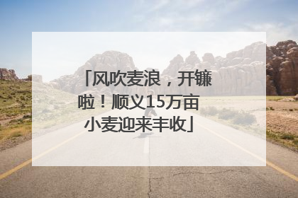风吹麦浪，开镰啦！顺义15万亩小麦迎来丰收