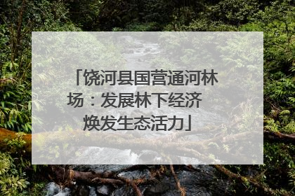 饶河县国营通河林场：发展林下经济 焕发生态活力
