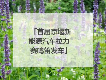 首届京堰新能源汽车拉力赛鸣笛发车