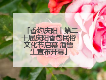 香约庆阳丨第二十届庆阳香包民俗文化节启幕 潘鲁生宣布开幕
