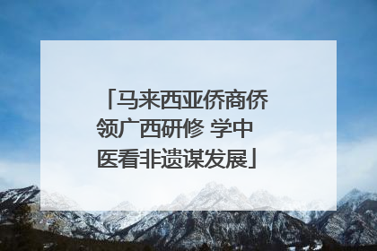 马来西亚侨商侨领广西研修 学中医看非遗谋发展