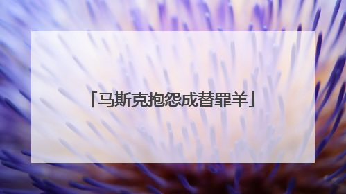 马斯克抱怨成替罪羊