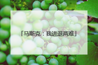 马斯克：我进退两难