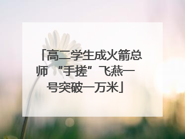 高二学生成火箭总师 “手搓”飞燕一号突破一万米
