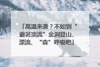 高温来袭？不如到“避暑顶流”金洞登山、漂流、“森”呼吸吧