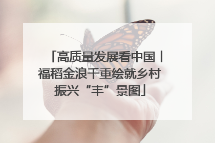 高质量发展看中国丨福稻金浪千重绘就乡村振兴“丰”景图