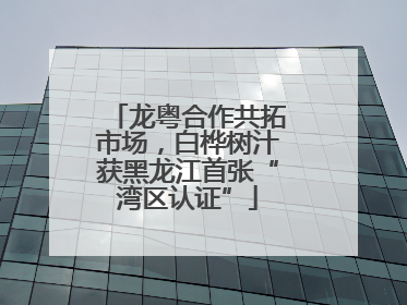 龙粤合作共拓市场，白桦树汁获黑龙江首张“湾区认证”