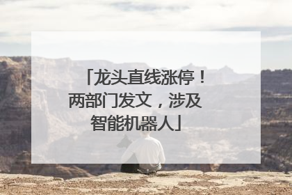 龙头直线涨停！两部门发文，涉及智能机器人