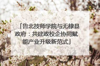 鲁北技师学院与无棣县政府：共建政校企协同赋能产业升级新范式