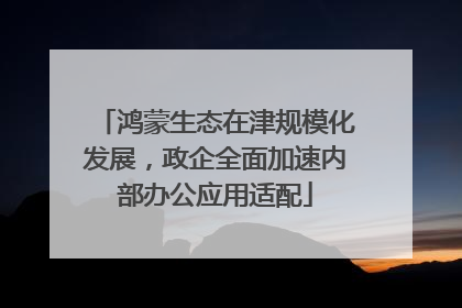 鸿蒙生态在津规模化发展，政企全面加速内部办公应用适配