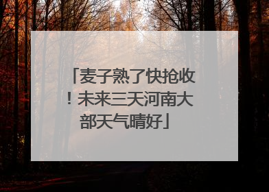 麦子熟了快抢收！未来三天河南大部天气晴好