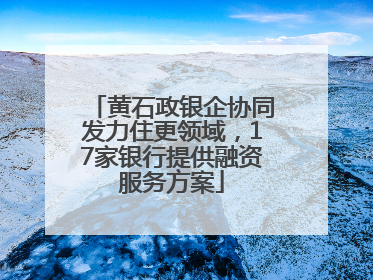 黄石政银企协同发力住更领域，17家银行提供融资服务方案