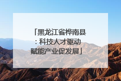黑龙江省桦南县：科技人才驱动 赋能产业促发展