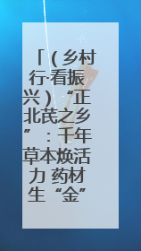 （乡村行·看振兴）“正北芪之乡”：千年草本焕活力 药材生“金”富农家