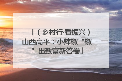 （乡村行·看振兴）山西高平：小辣椒“椒”出致富新答卷