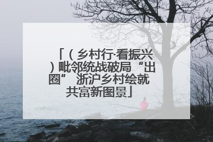 （乡村行·看振兴）毗邻统战破局“出圈” 浙沪乡村绘就共富新图景