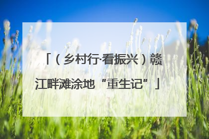 （乡村行·看振兴）赣江畔滩涂地“重生记”