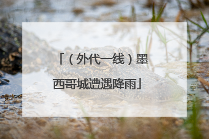 （外代一线）墨西哥城遭遇降雨