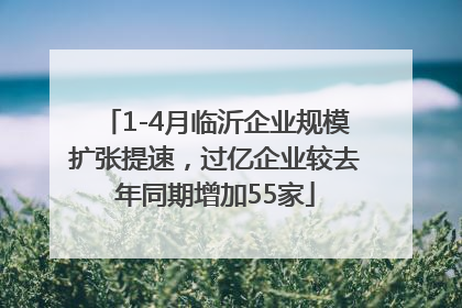 1-4月临沂企业规模扩张提速，过亿企业较去年同期增加55家