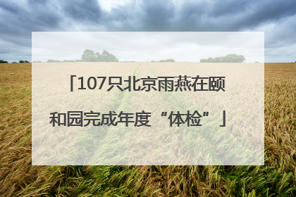 107只北京雨燕在颐和园完成年度“体检”