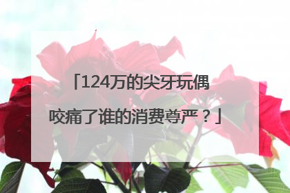 124万的尖牙玩偶 咬痛了谁的消费尊严？