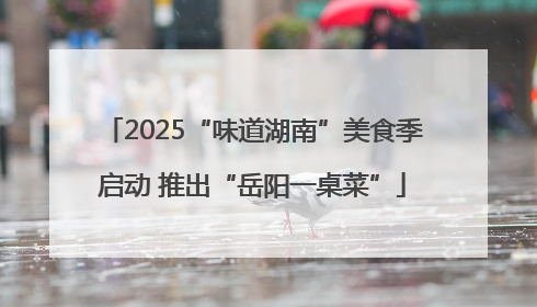 2025“味道湖南”美食季启动 推出“岳阳一桌菜”