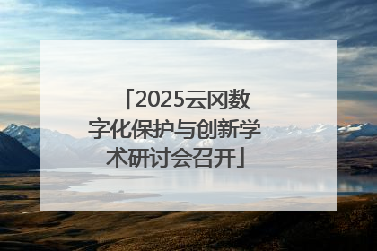 2025云冈数字化保护与创新学术研讨会召开