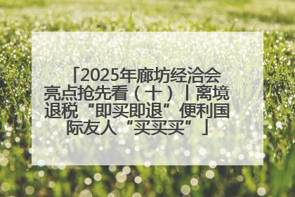 2025年廊坊经洽会亮点抢先看（十）丨离境退税“即买即退”便利国际友人“买买买”