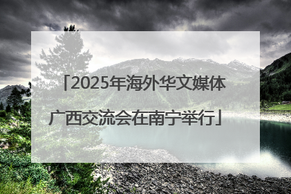 2025年海外华文媒体广西交流会在南宁举行