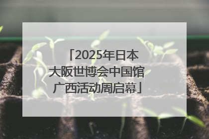 2025年日本大阪世博会中国馆广西活动周启幕