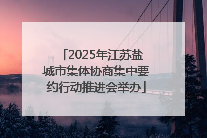 2025年江苏盐城市集体协商集中要约行动推进会举办