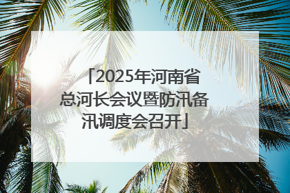 2025年河南省总河长会议暨防汛备汛调度会召开