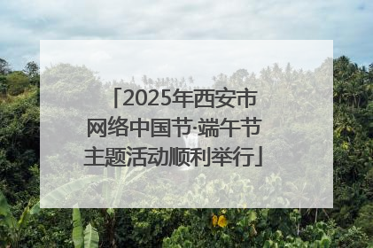2025年西安市网络中国节·端午节主题活动顺利举行